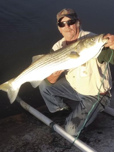 Catch of Week