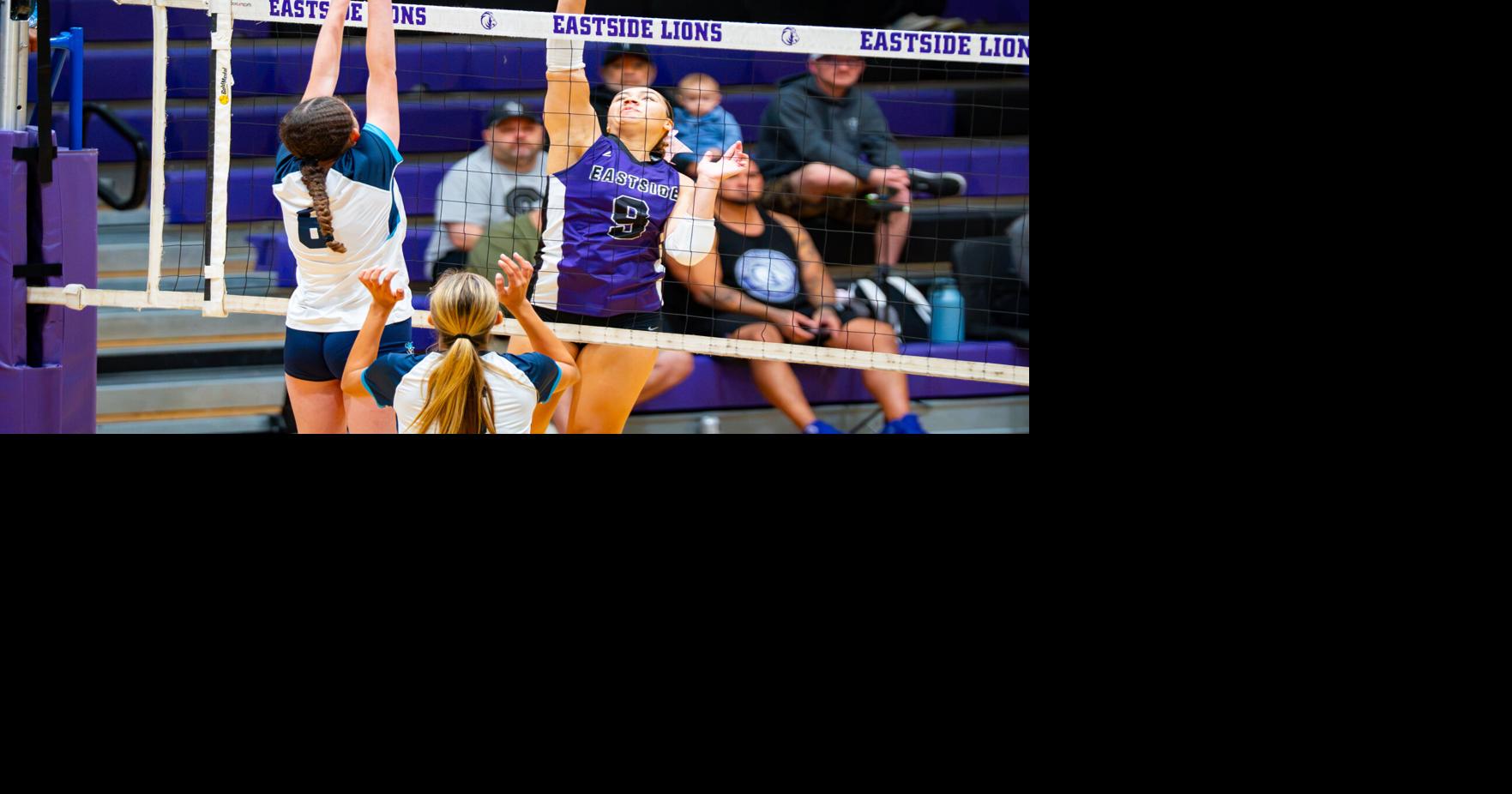 Lions can't get past Wildcats in playoff opener