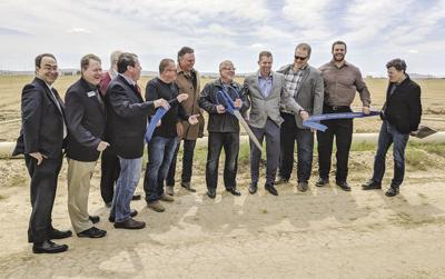 Hemp Farming Comes To Valley News Avpress Com