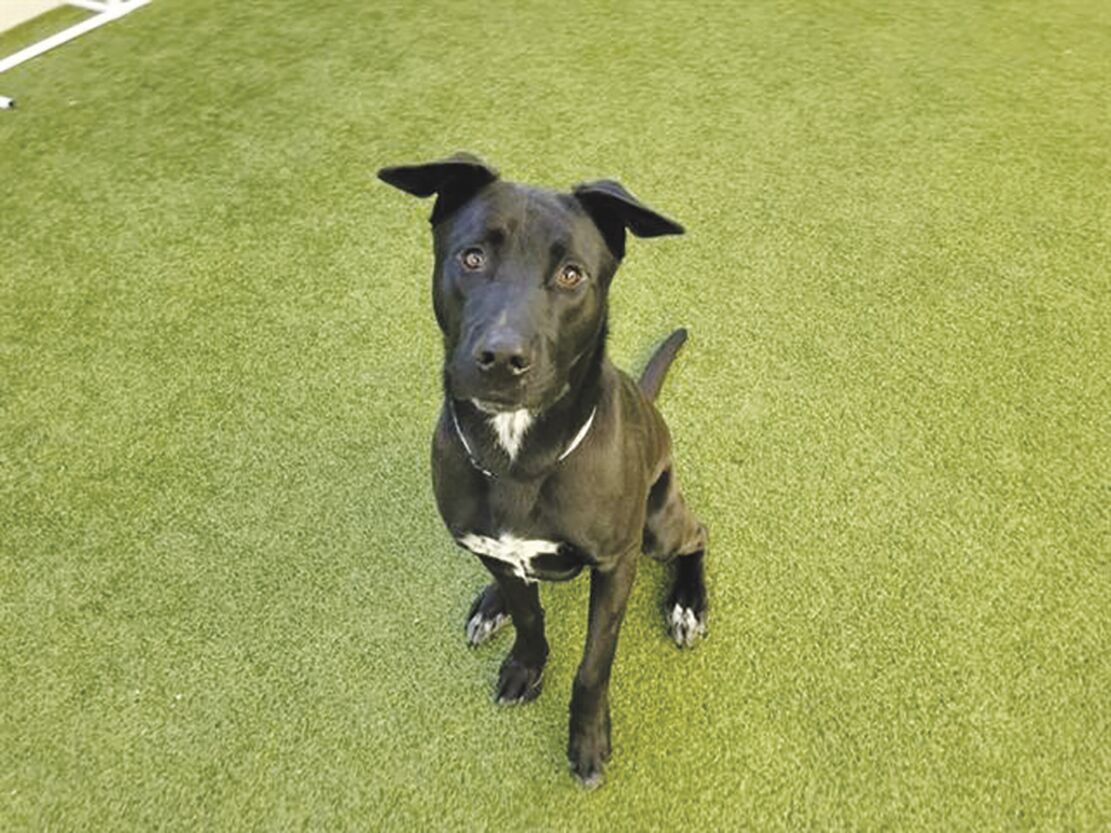 Jet