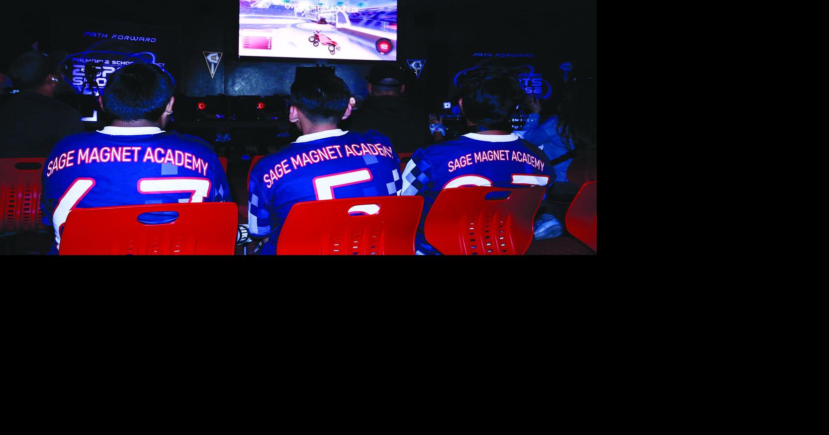 ESports standouts capture honors | News | avpress.com