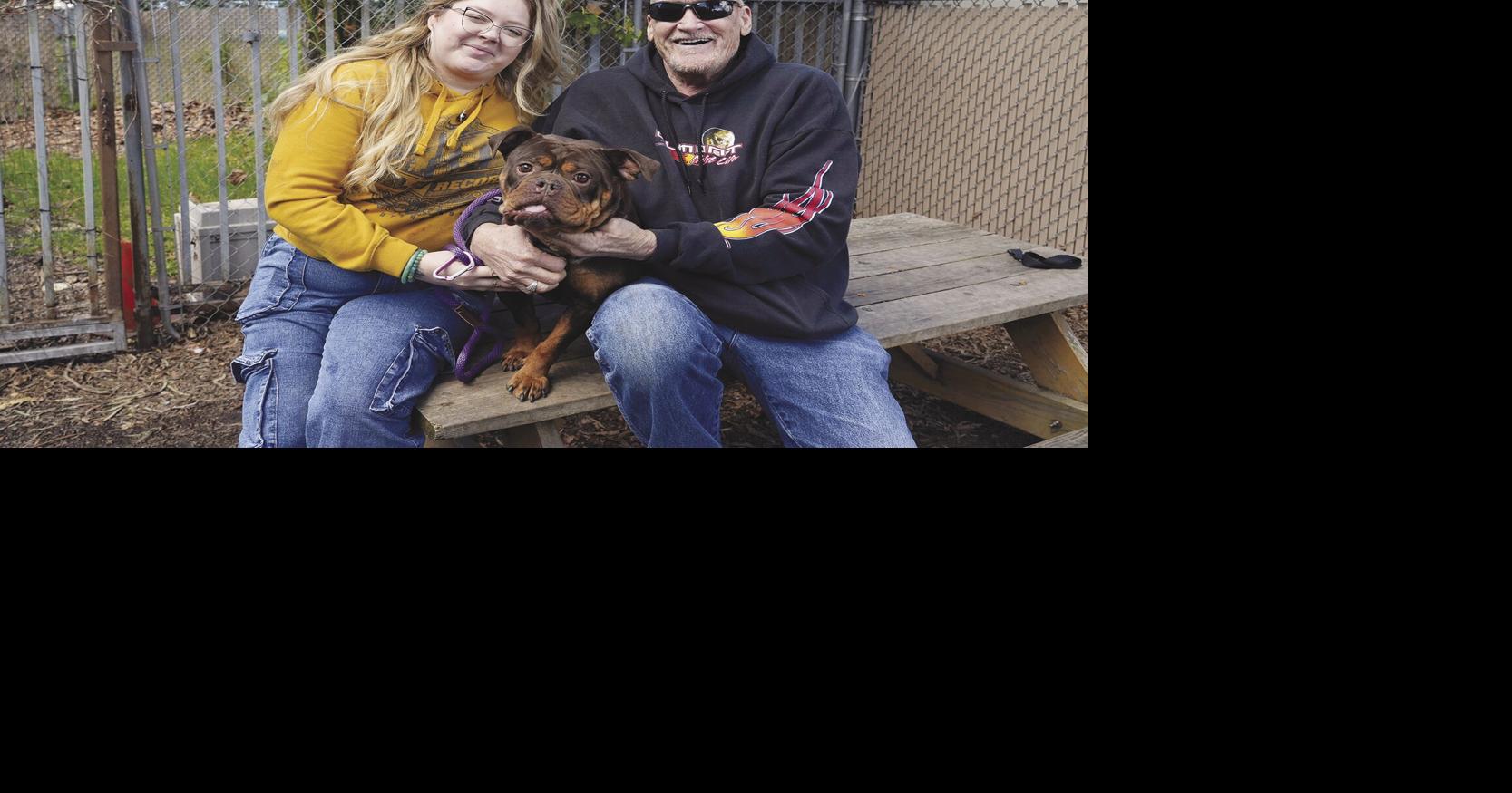 Finding an apartment may be easier for pet owners | News
