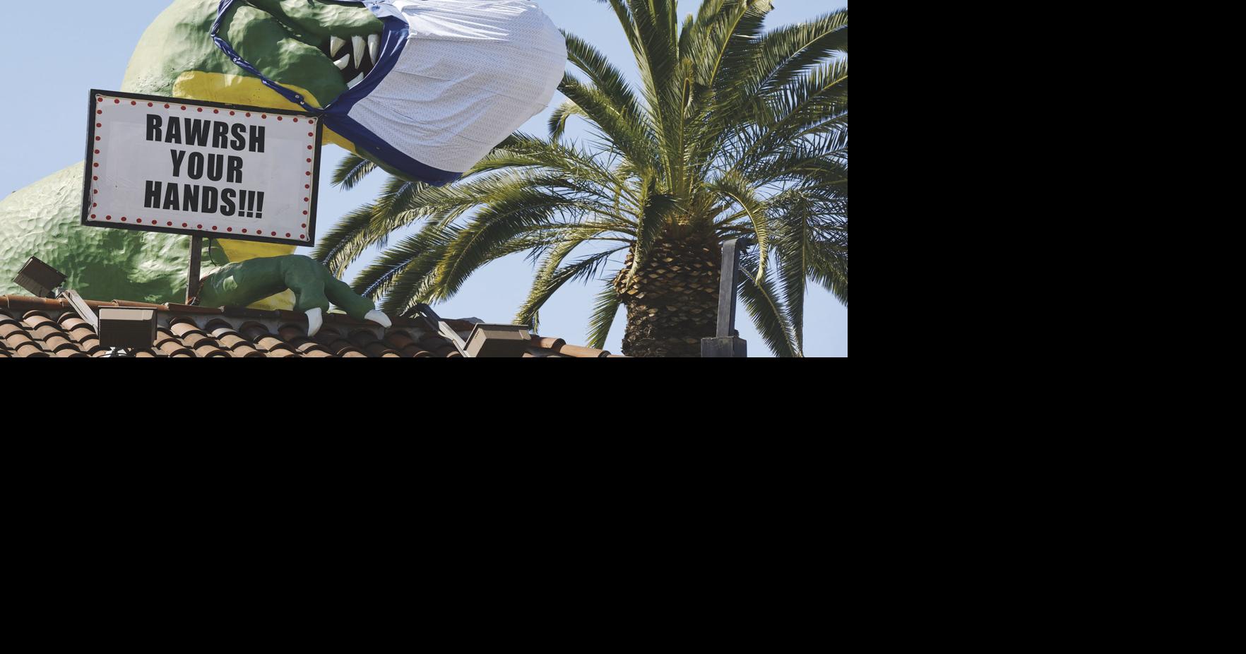 Court Montana family owns dinosaur fossils worth millions Newsline