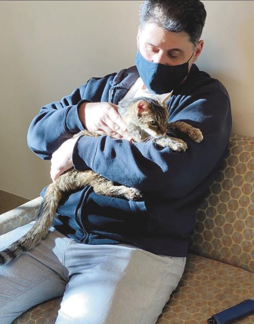 Misplaced cat, proprietor reunited after 15 years | Information