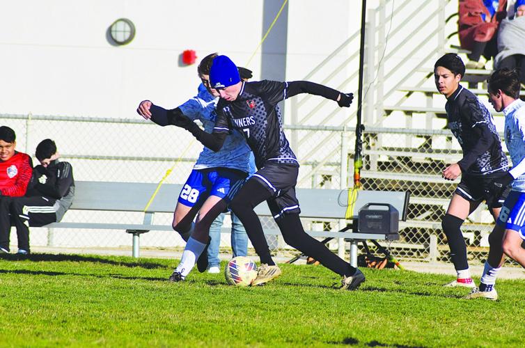 ’Runners fall to Broncos | Sports | avpress.com