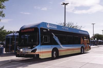 Av Buses Free Thursday Avpress Com
