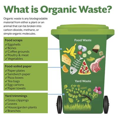 Organic waste