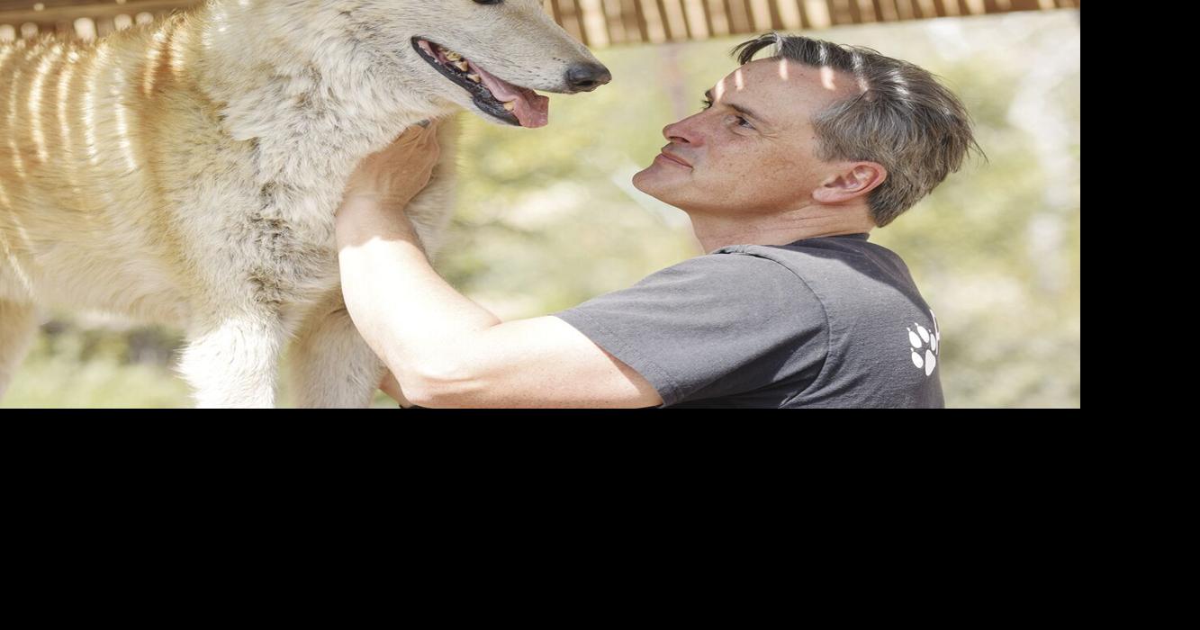 Wolf Connection can help female vets | News | avpress.com