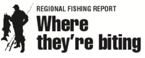 Regional Fishing Report Sports Avpress Com
