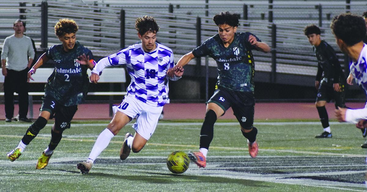 Lions, Royals, 'Dogs earn top awards