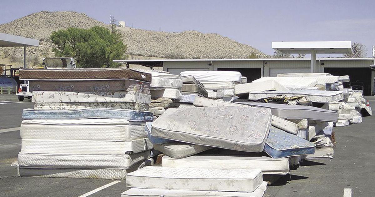 Environmental Pride Month activities are planned |  News