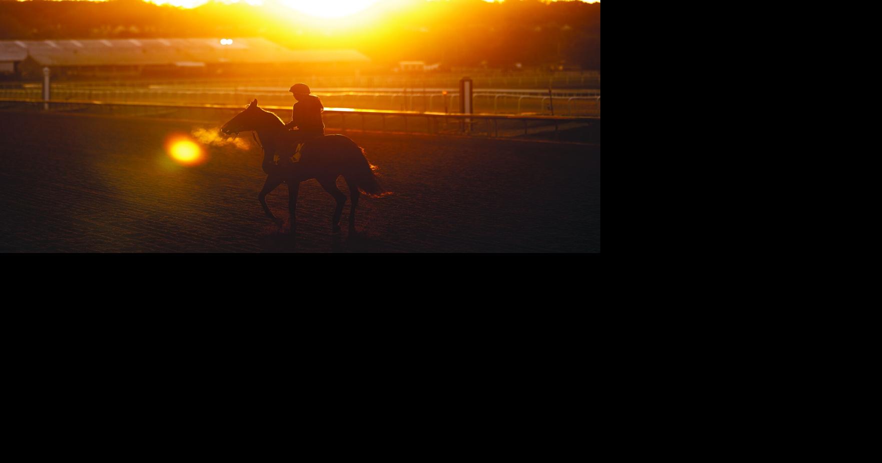 The Preakness at Laurel Park has a little bit of everything except Kentucky Derby winner