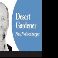 Is it spring yet? Gardeners weigh the signs