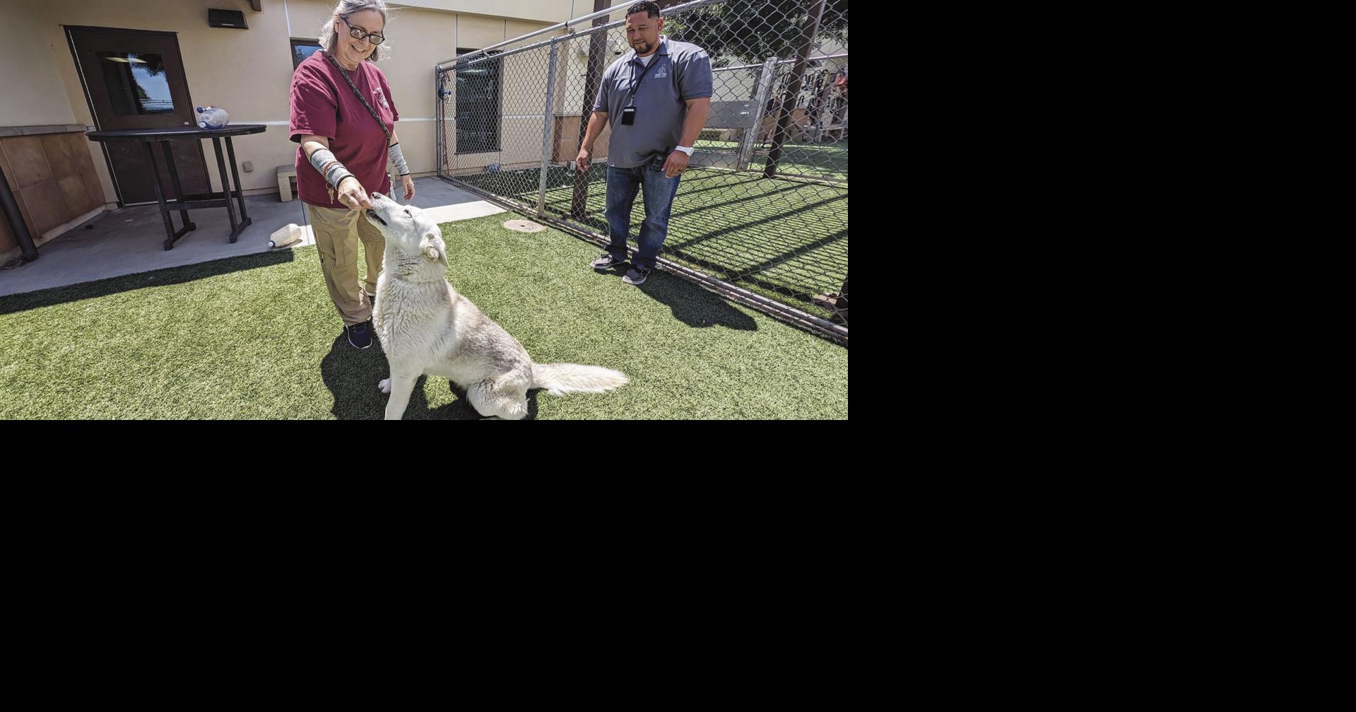 Add a pet to family for  | News