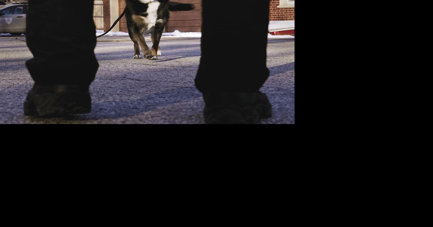 K-9 featured in Netflix’s ‘Rescued by Ruby’ euthanized | Newsline ...