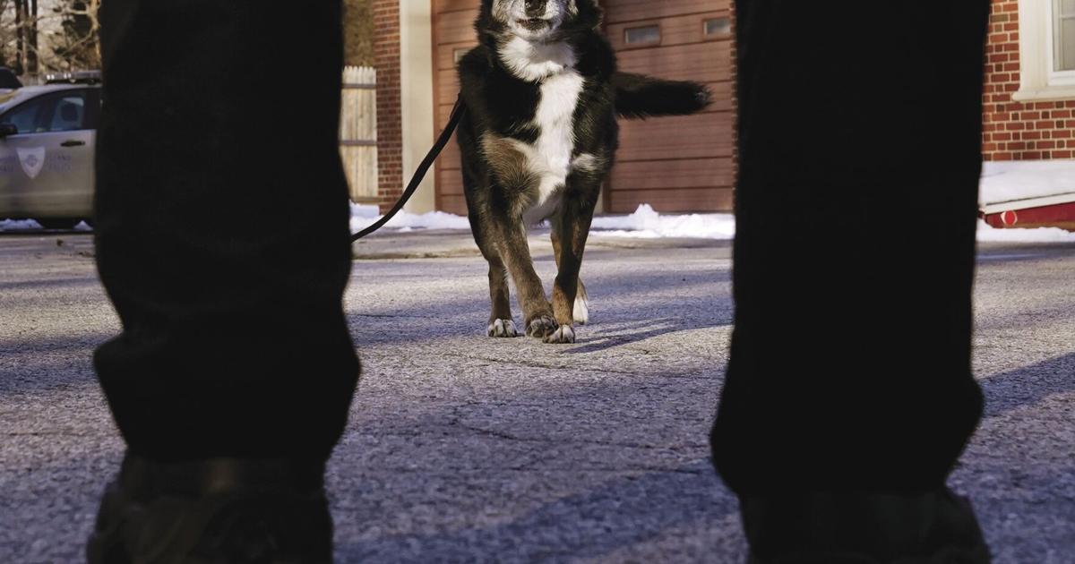 K-9 featured in Netflix’s ‘Rescued by Ruby’ euthanized | Newsline ...