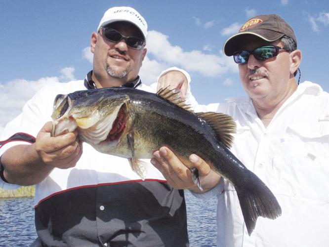 Caught Ovgard: Swimbaits: They're not just for bass