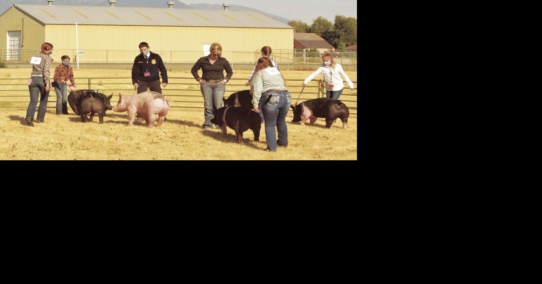 Baker County Fair schedule Local News