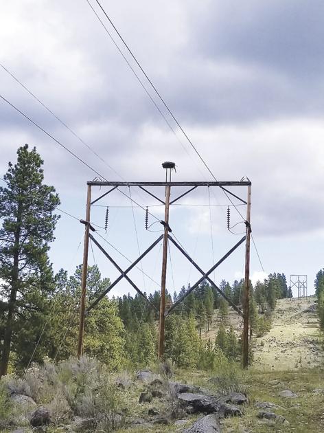 Idaho Power plans maintenance work on major transmission line ...
