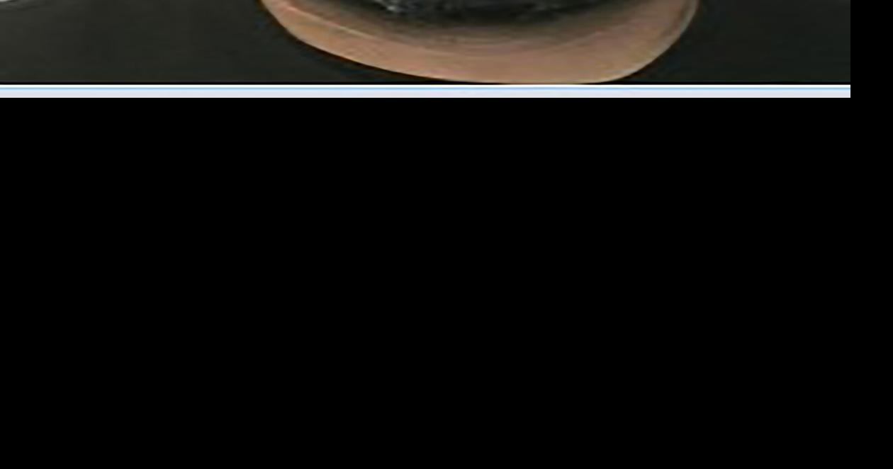 BPD arrests man on suspicion of 14 burglaries | News | bakersfield.com