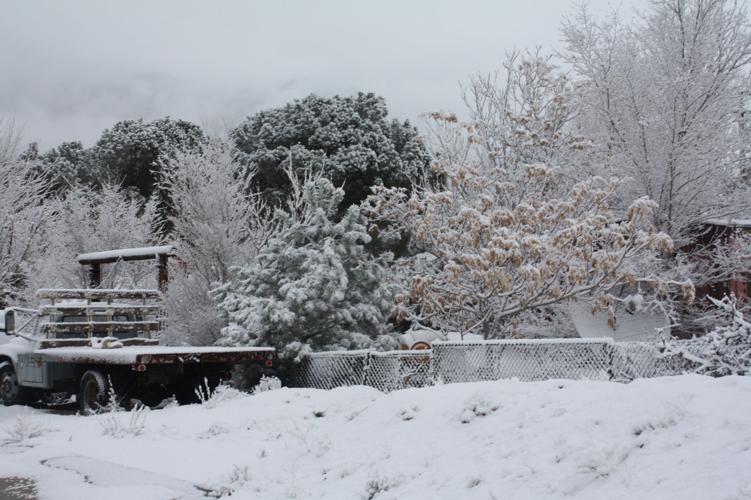 PHOTO GALLERY Snow in Onyx