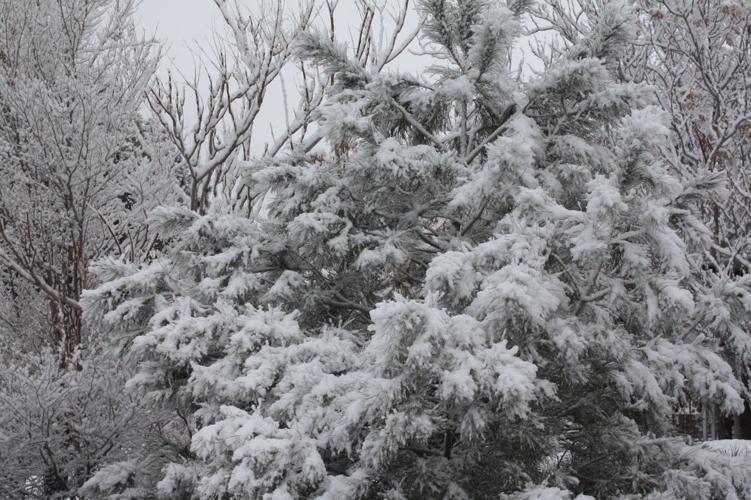 PHOTO GALLERY Snow in Onyx