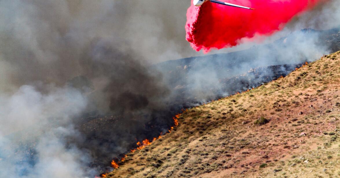 Evacuation order issued as Buzzard Fire along Grapevine grows | News ...