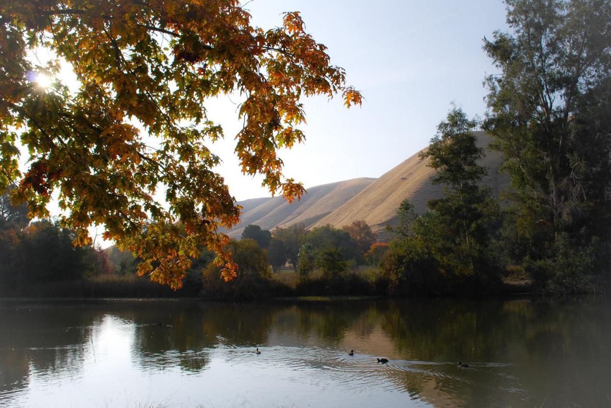 THROUGH YOUR LENS Hart Park area Photo Galleries