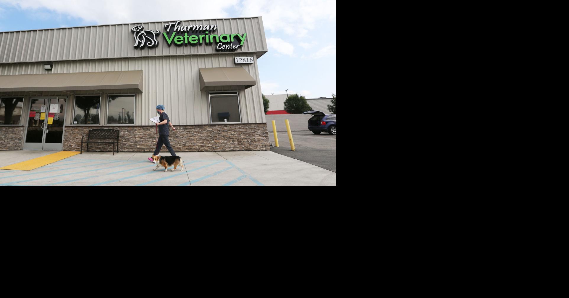 Veterinarians move to curbside service to adhere to social distancing