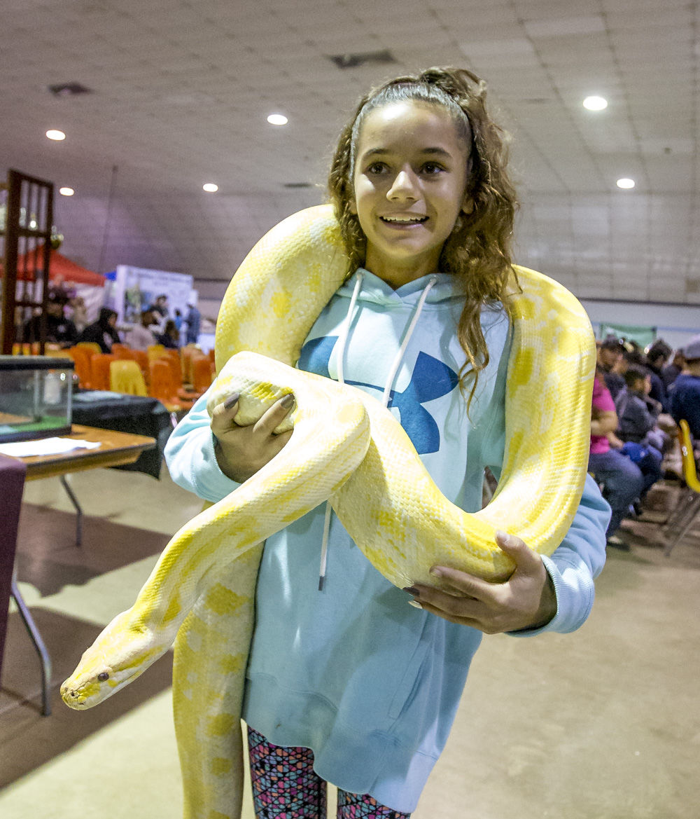 Snakes and lizards and geckos, oh my! The second annual Central Valley