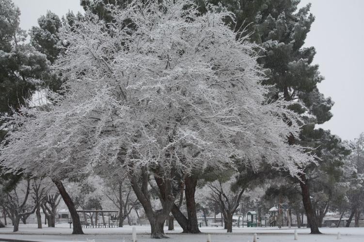 PHOTO GALLERY Snow in Onyx