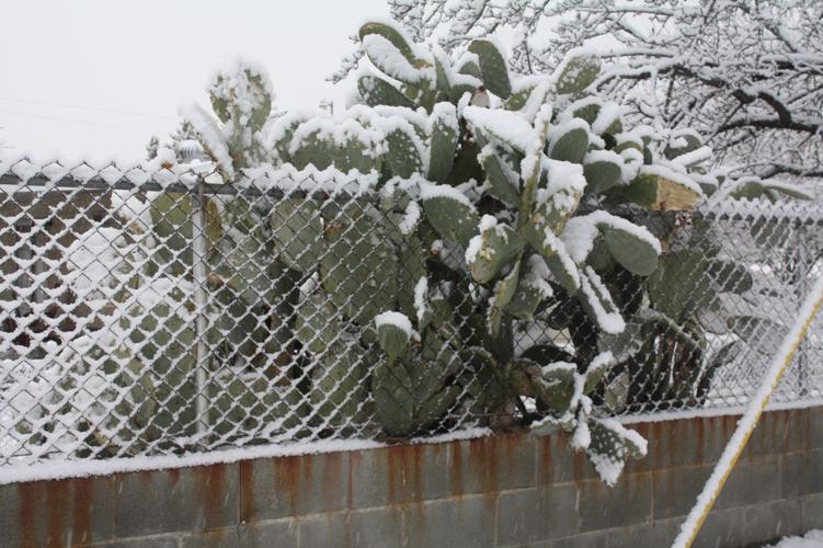 PHOTO GALLERY Snow in Onyx