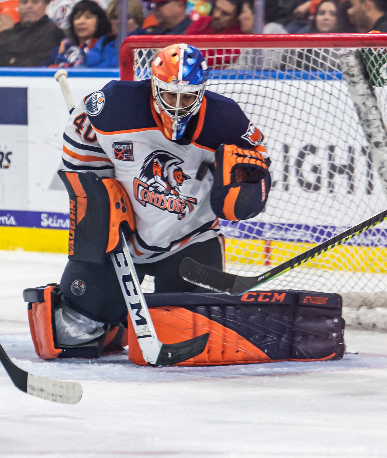 condors teddy bear toss 2018