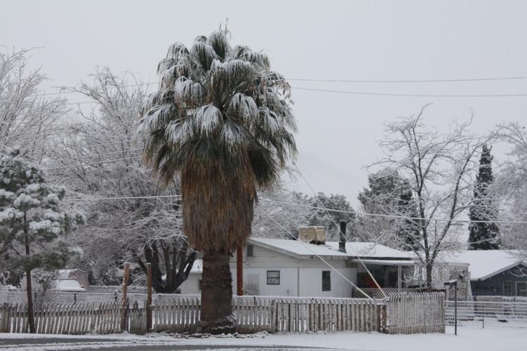 PHOTO GALLERY Snow in Onyx