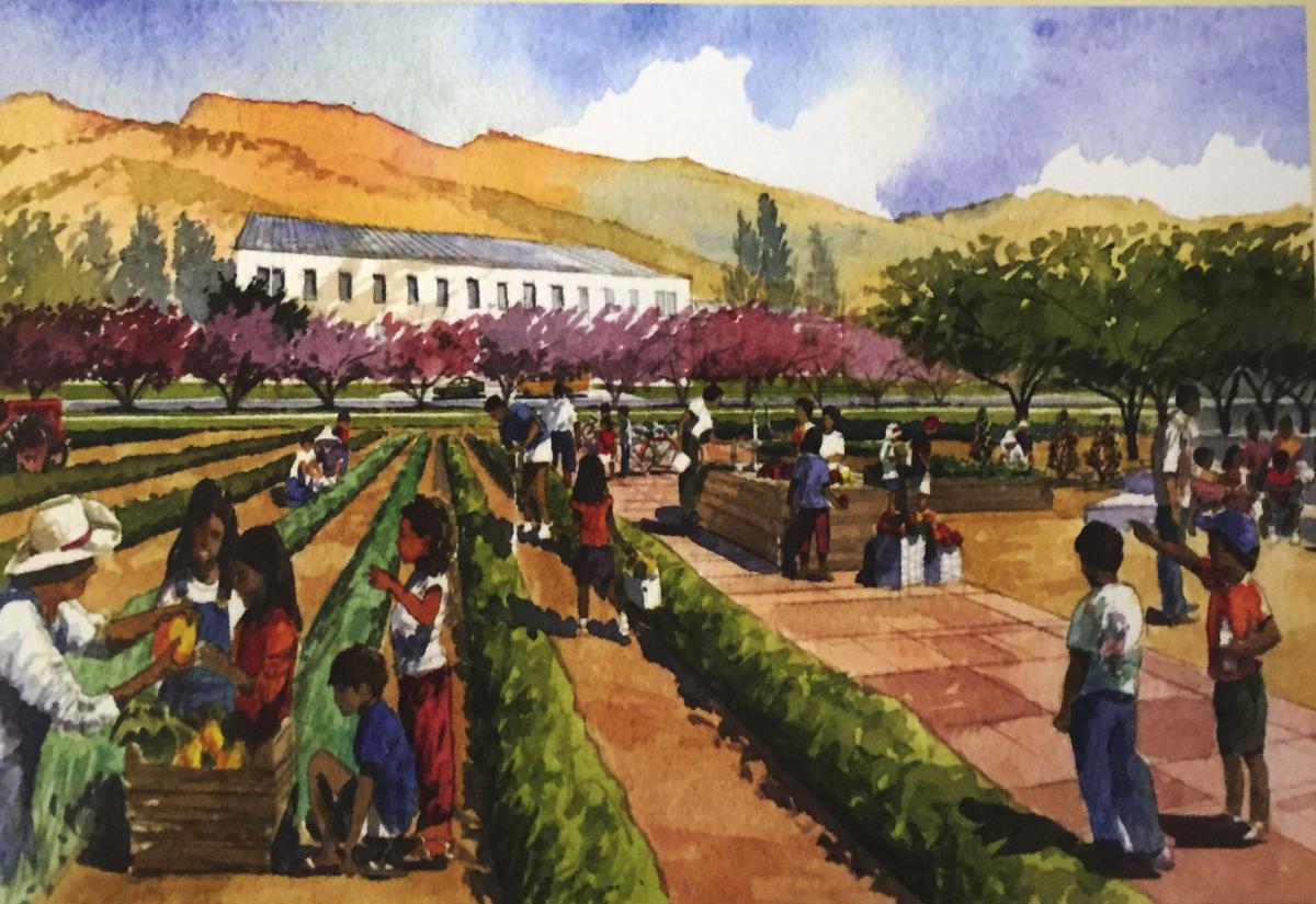 Supervisors approve new Grapevinearea community News