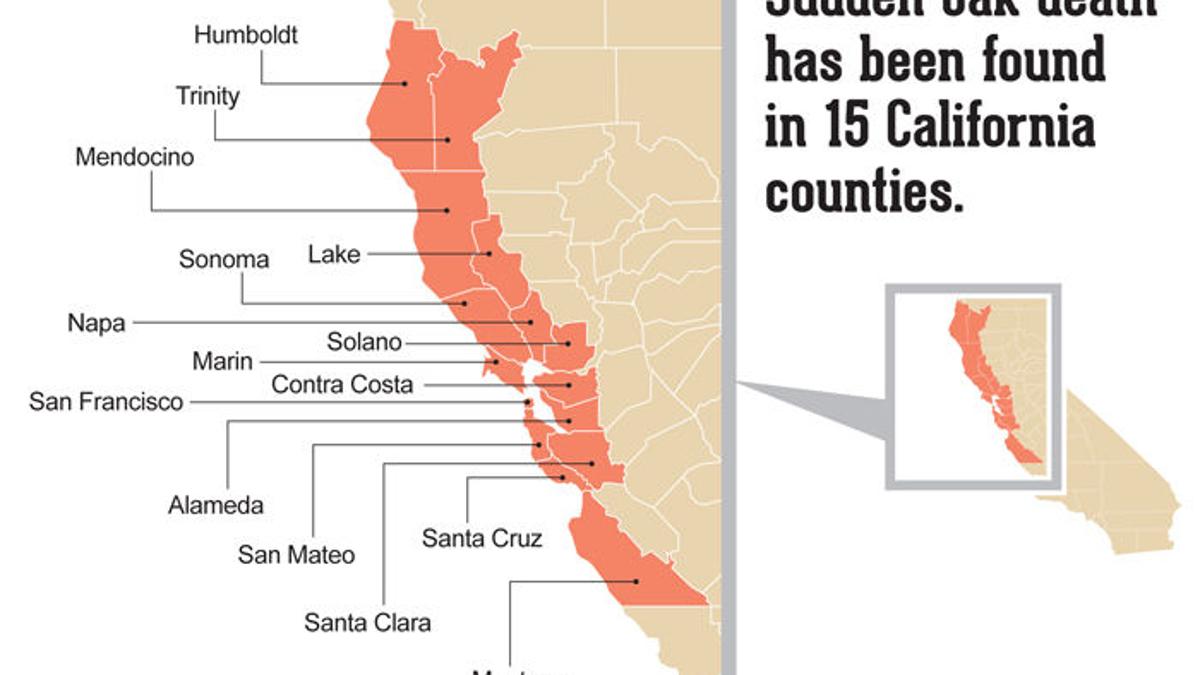 State Tree Death Toll 70 Million And Could Worsen News Bakersfield Com