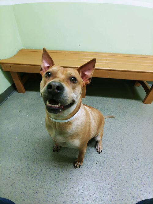 Naomi A1082447