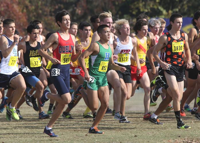 CIF State cross country scoreboard