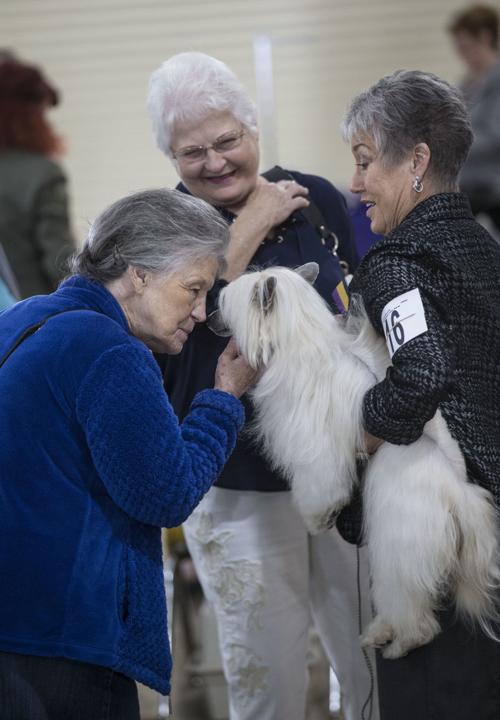 20190401-bc-dogshow