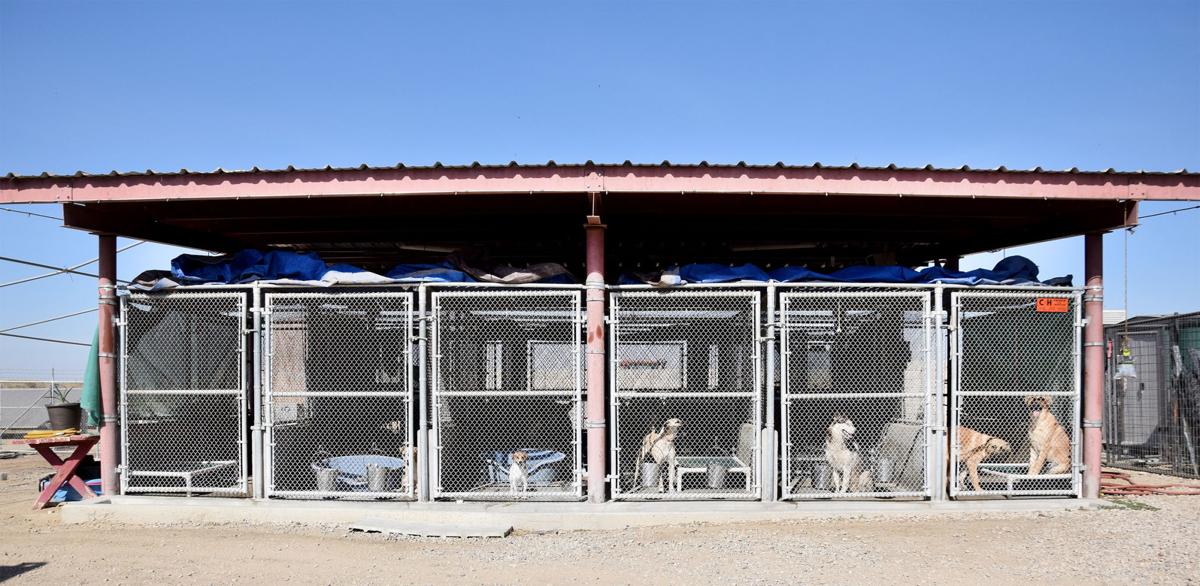 McFarland to get new animal shelter in January The Delano Record