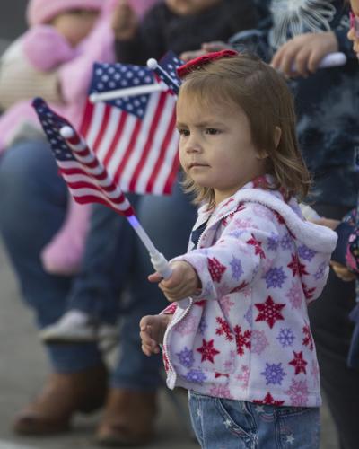 Veterans day events northern va