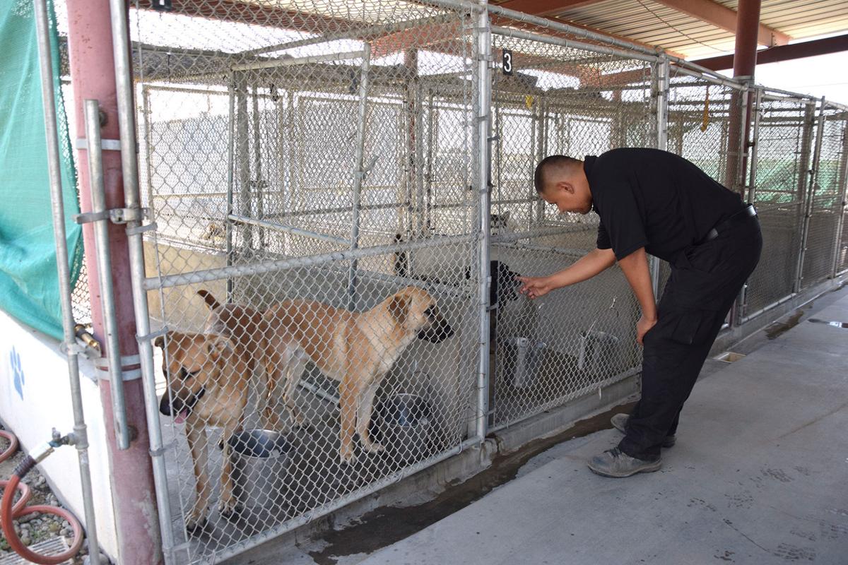McFarland to get new animal shelter in January The