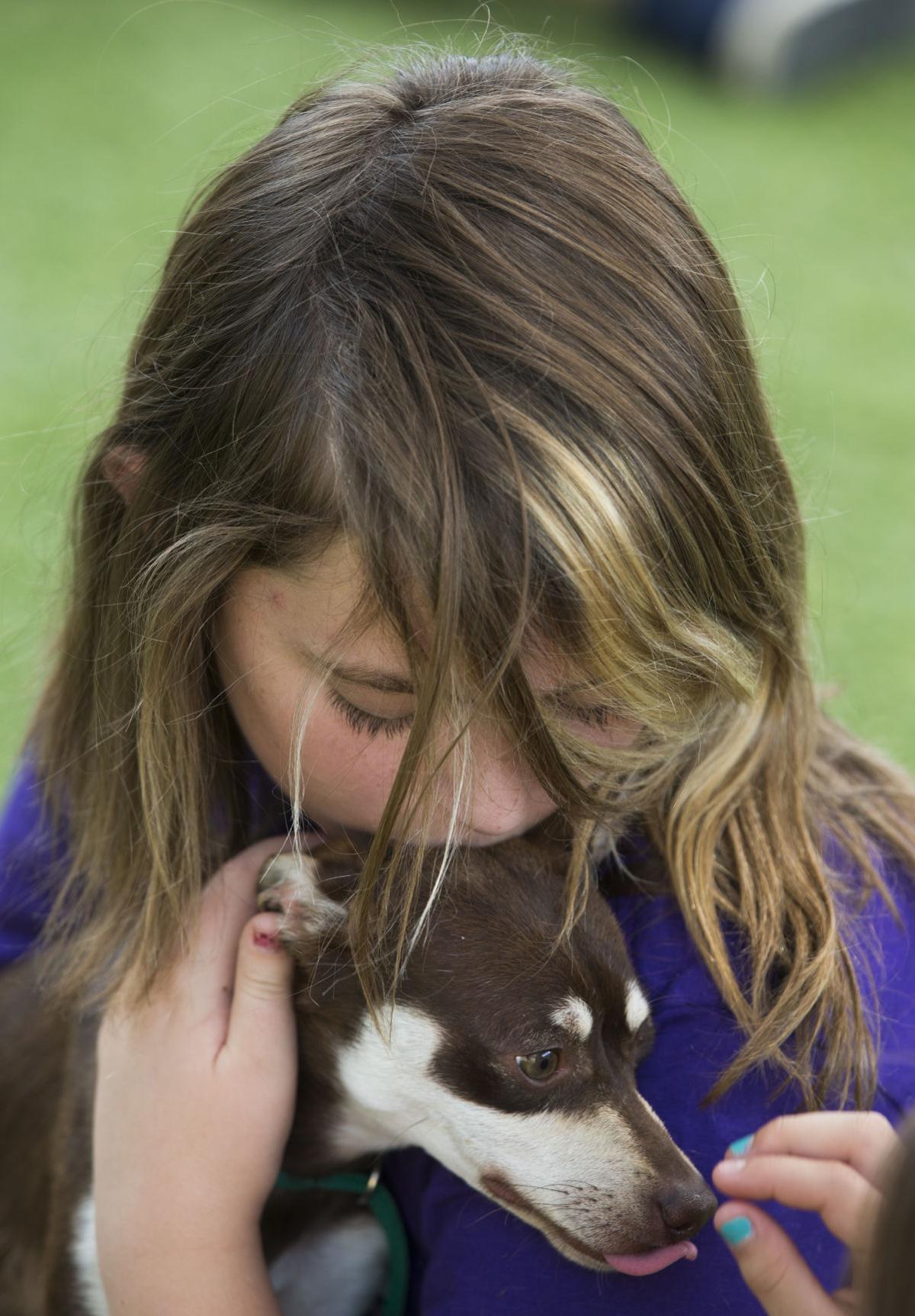SPCA day camp goes to the dogs Entertainment