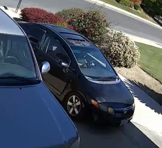 BPD seeks alleged suspects in catalytic converter theft