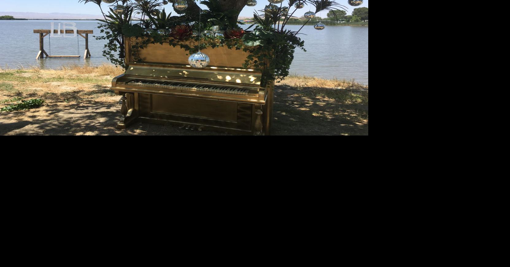 PHOTO GALLERY Lightning in a Bottle transforms Buena Vista Aquatic