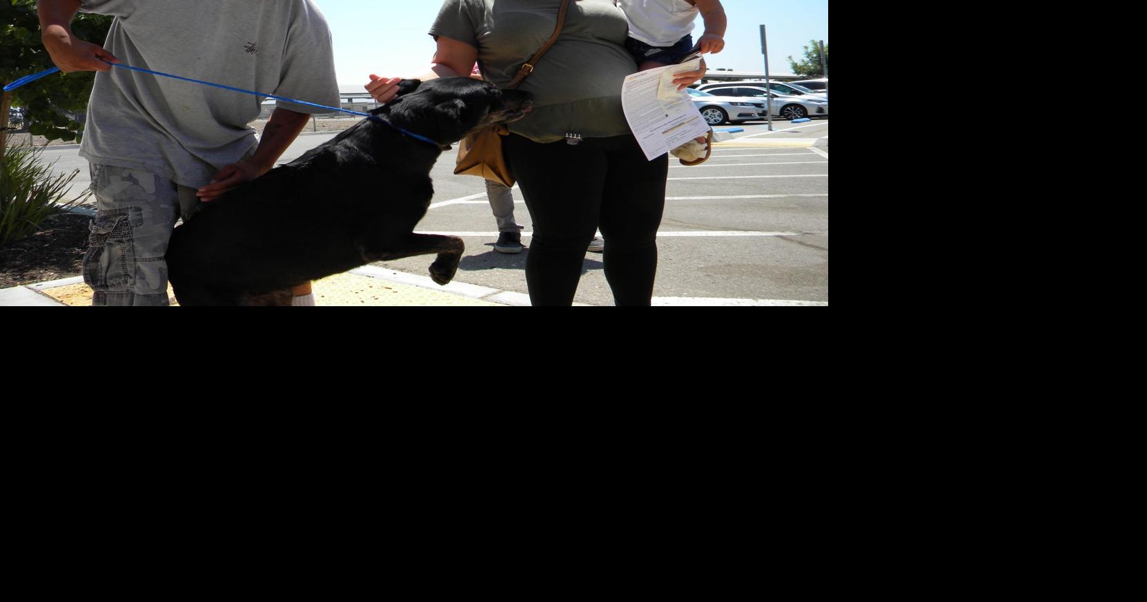 Long Fourth of July weekend expected to crowd already overflowing