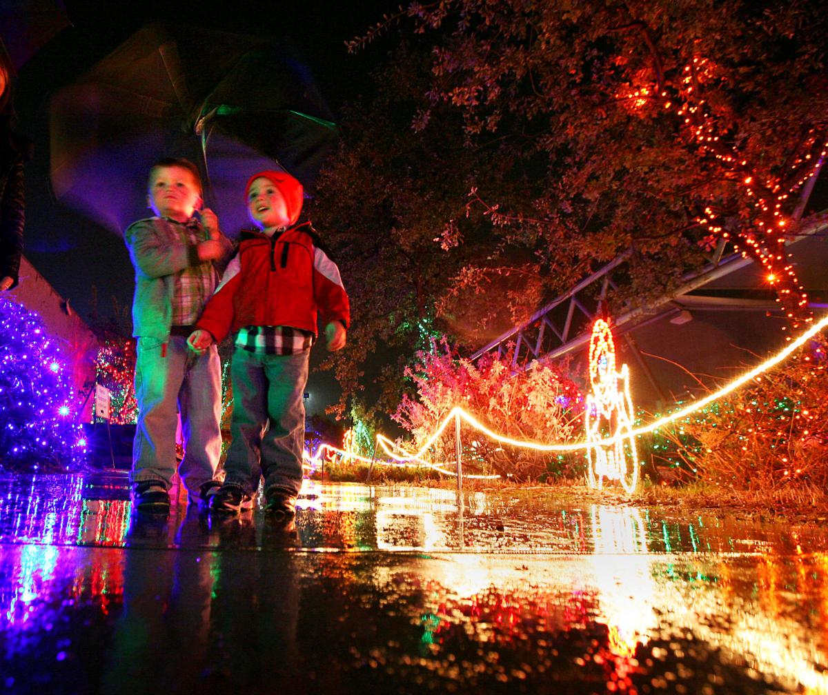 CALM zoo ready to light up the night News