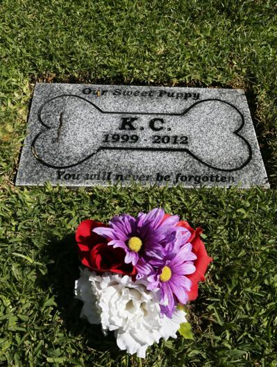 Cremation Services Individual Pet Cremations Alexandria Va