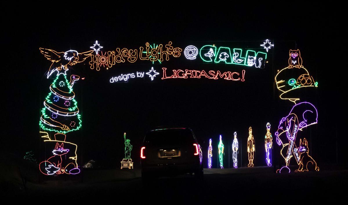 PHOTOS CALM unveils HolidayLights drivethru display in advance of