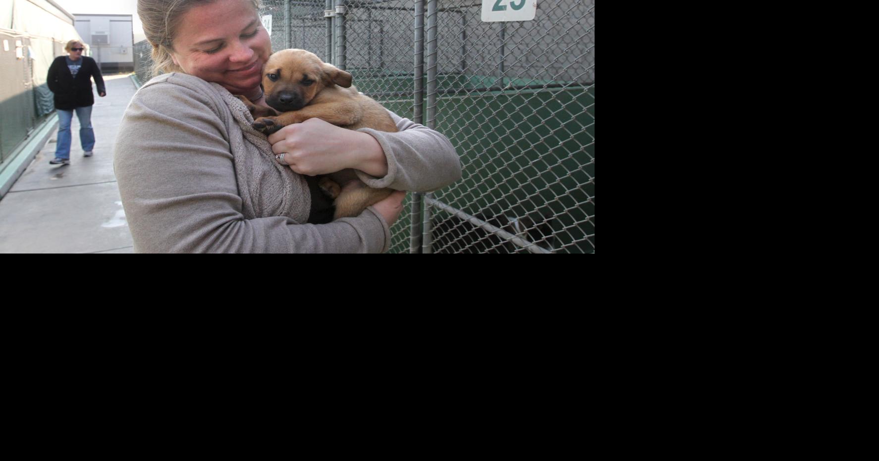 Animal control chief advocates for more spay-neuter efforts | News ...